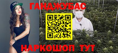 кокс Кингисепп