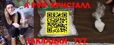 кокс Кингисепп